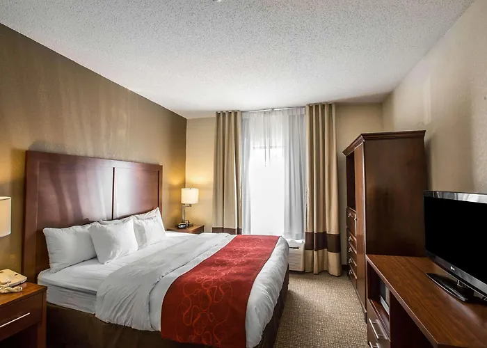 Quality Suites