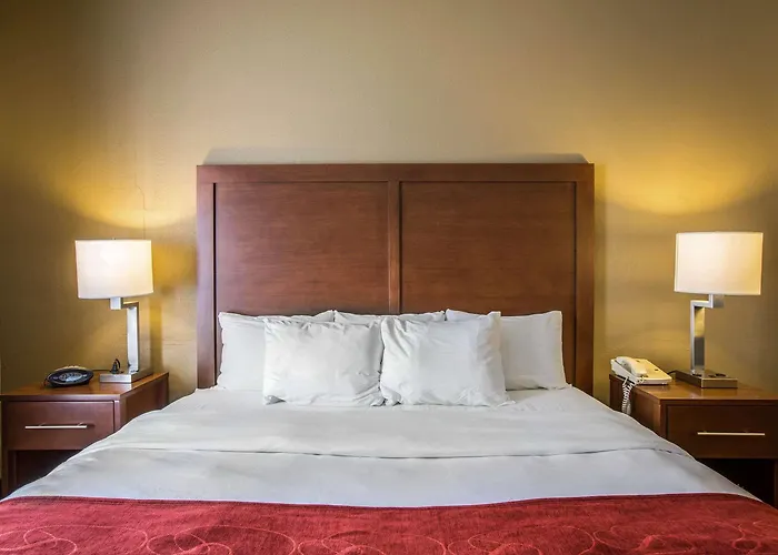Quality Suites